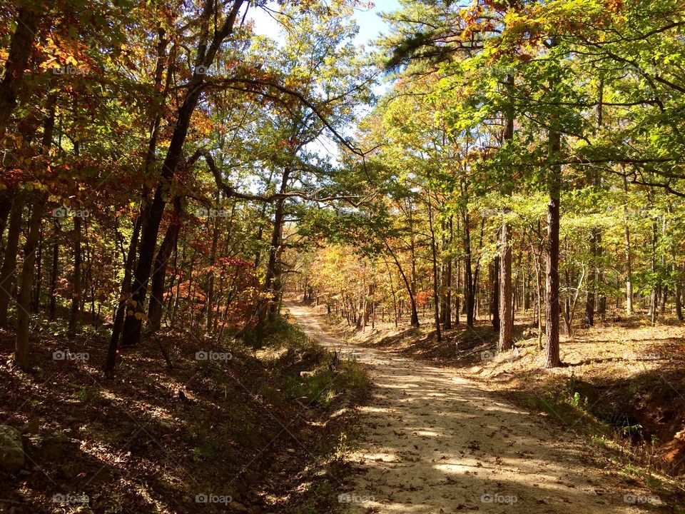 Fall Country Walk