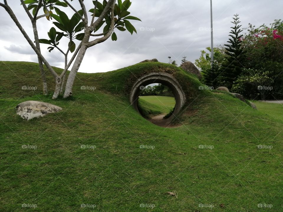 The ring hole in the park.