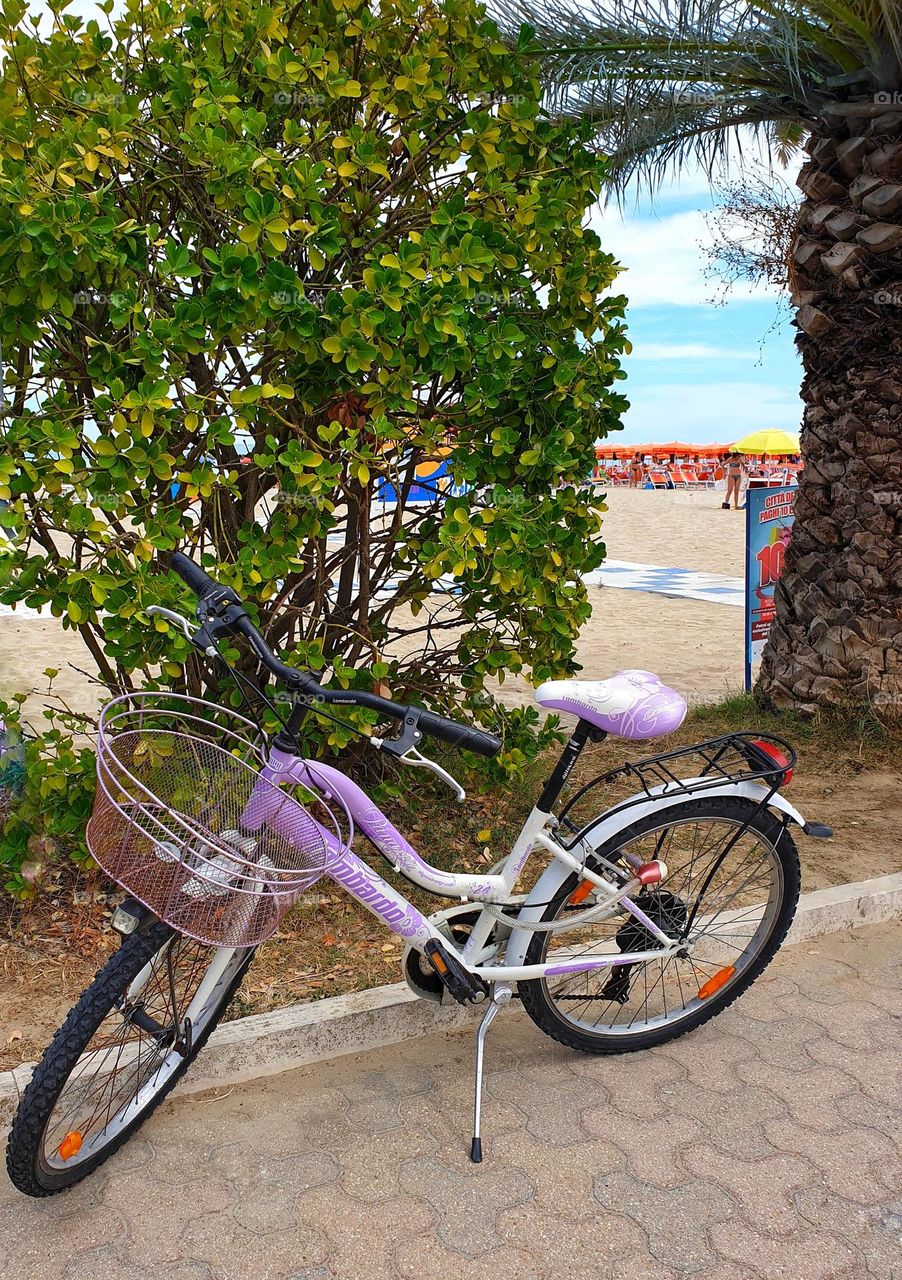 Purple Bicycle