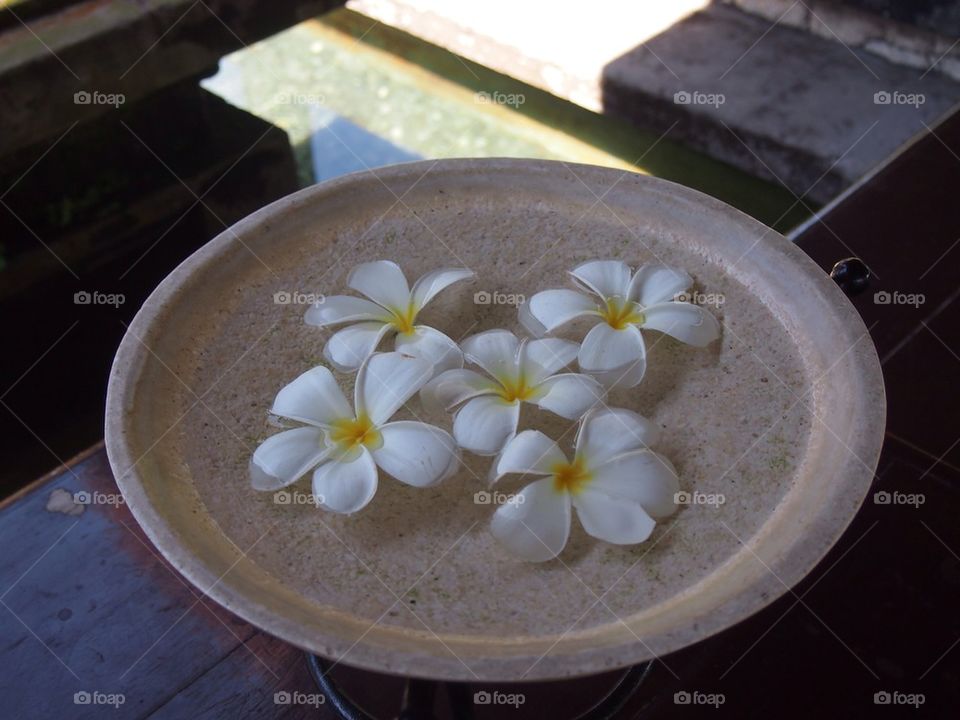 Frangipani bowl decor