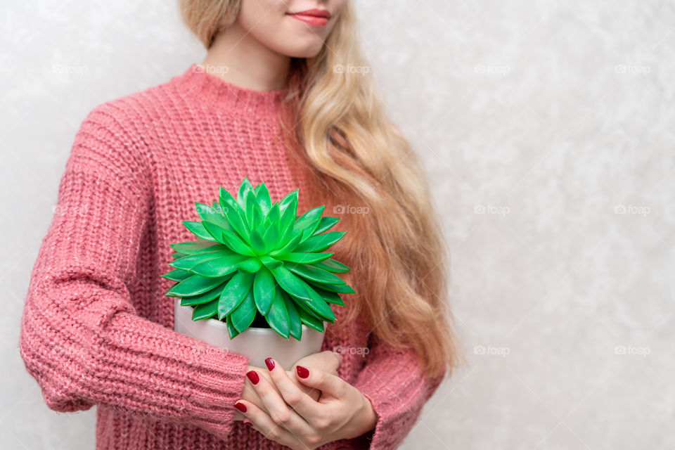 a pot with a green plant of the succulent family in female hands