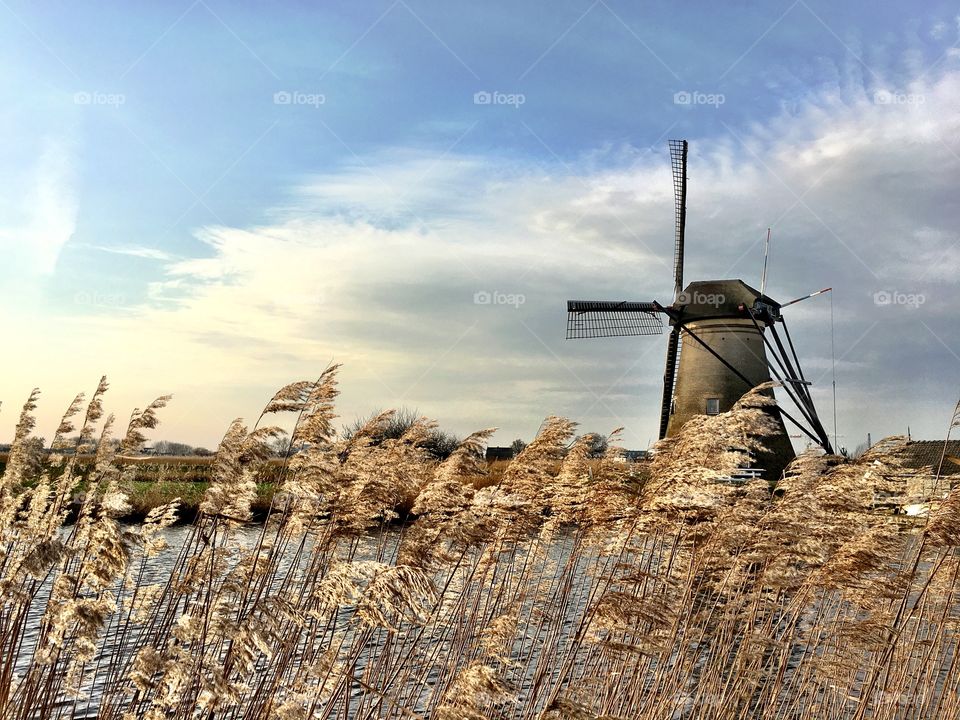 Windmill