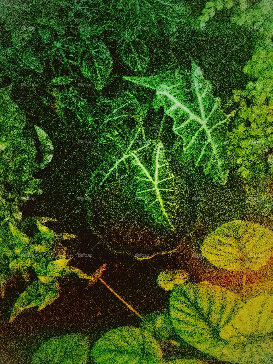 the Green Grain of Portrait of Plants
