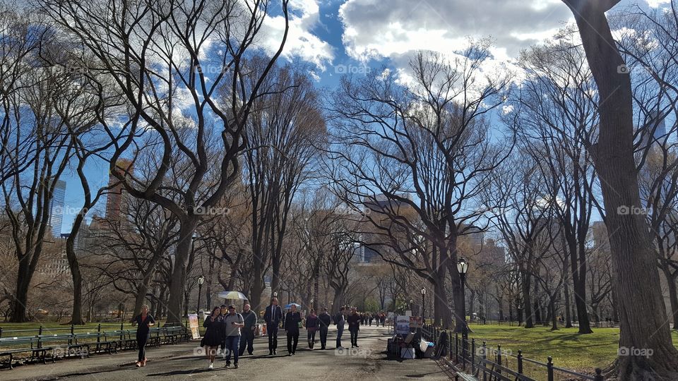 Stroll through Central Park