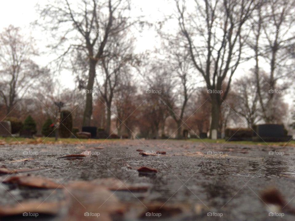 Rainy day at the cemetery.