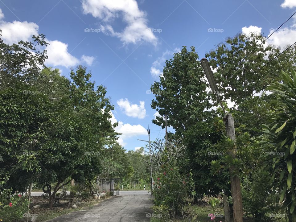 My home at Chiangkhan, Thailand