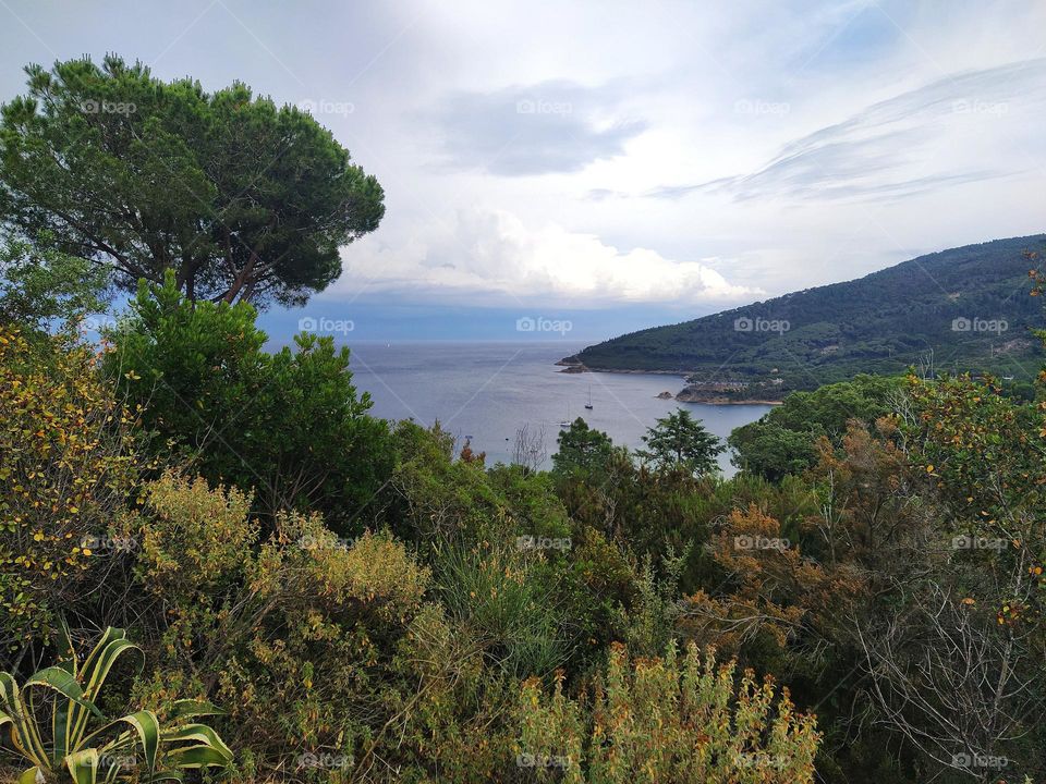Isola d'Elba