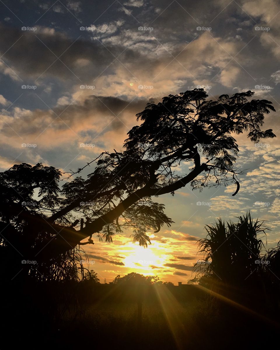 Que #sol persistente nesta #QuartaFeira, mesmo com as #nuvens o atrapalhando! Olhe só o #amanhecer em #Jundiaí como está bonito. 
Viva a #natureza!
.
#paisagem #fotografia #mobgraphy #morning #landscapes #céu #nuvens