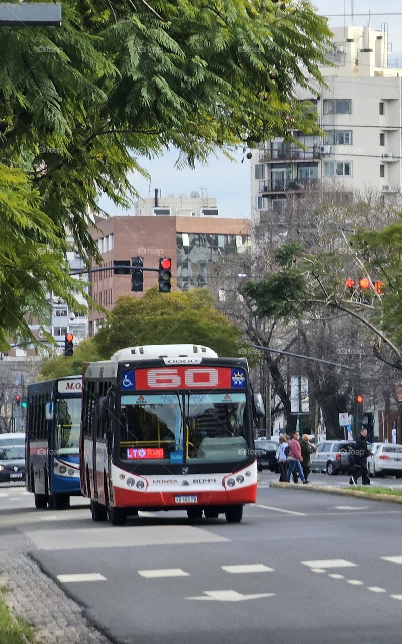 In 1932, the Bus #60 of Buenos Aires began to arrive at the Tigre Hotel, the mythical entertainment venue for the aristocracy of that time. Today, it helps thousands of workers to commute to and from the suburbs to town.