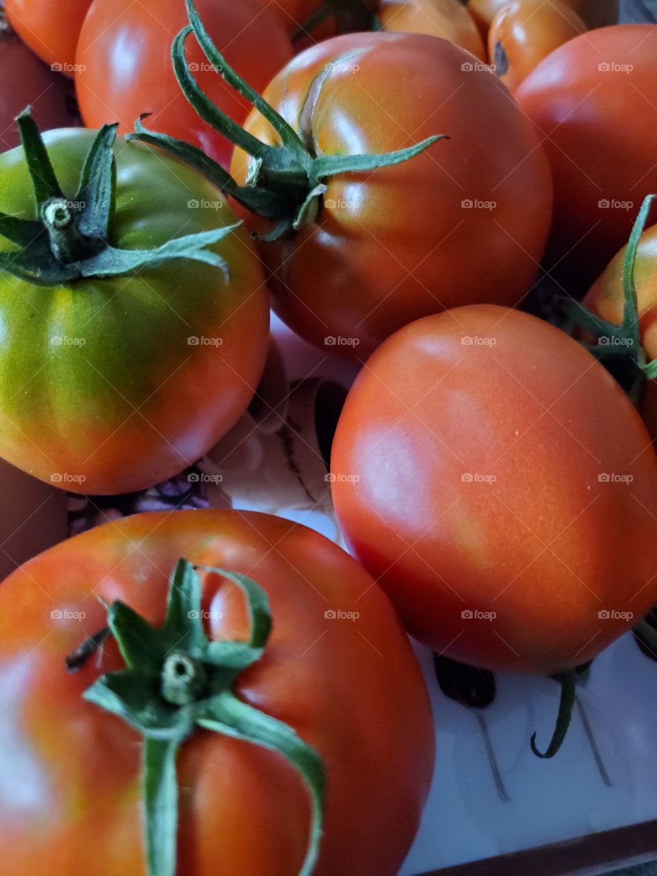 tomatoes