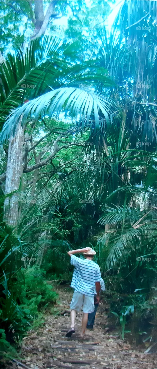 Zanzibar garden