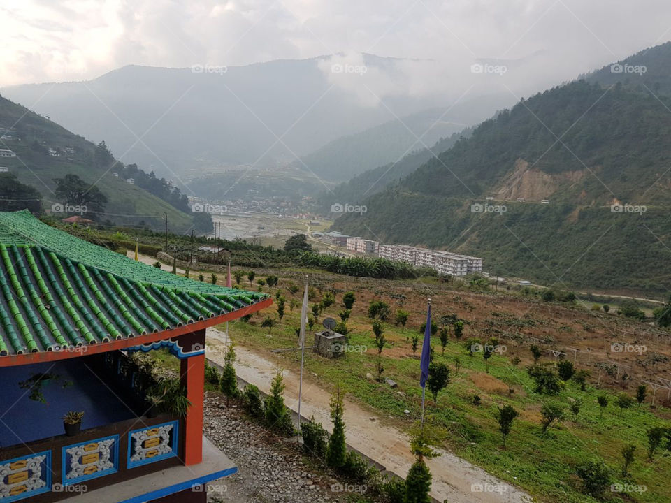 Green natural park. its nice to visit