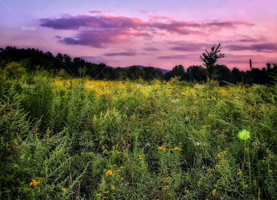 Sunset over mountain and field. A purple sunset over a blue mountain and green meadow. 