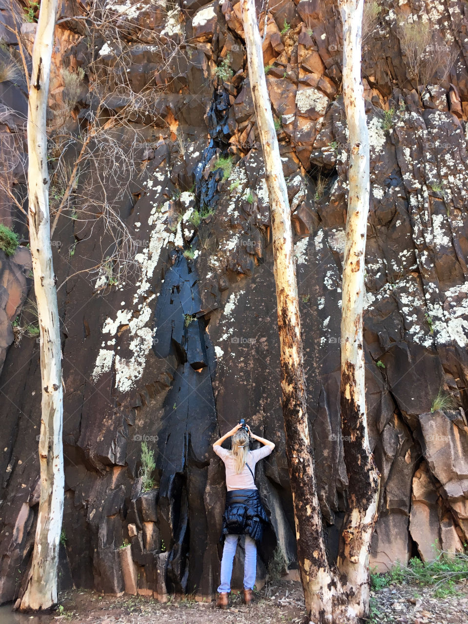 Woman (me) Photographing for FOAP ancient aboriginal sandstone wall engravings by the Adnyamathanha people, in Sacred Canyon in the Flinders Ranges of South Australia, near Wilpena pound;