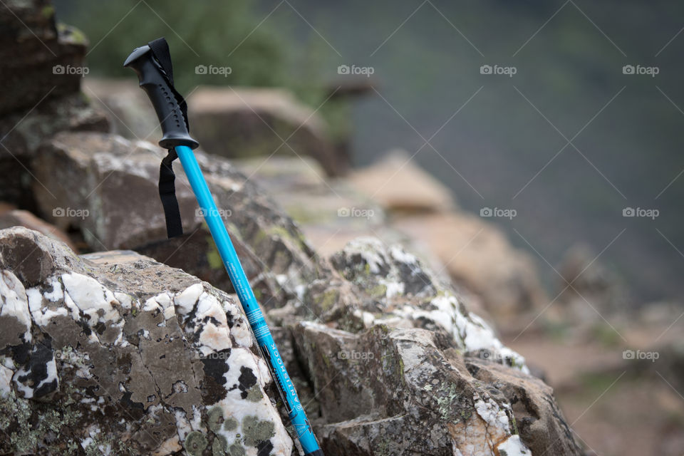 Walking stick on the rock