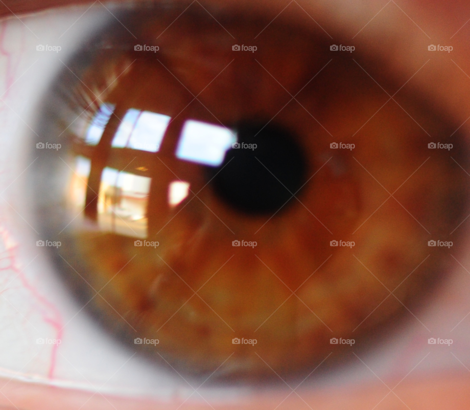 macro closeup window eye by lightanddrawing