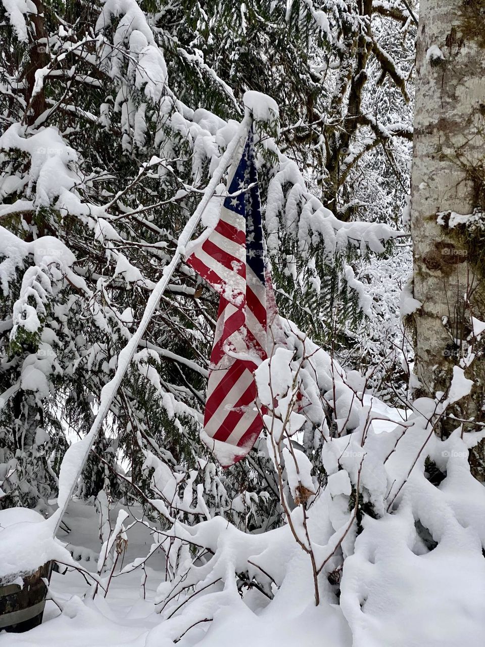 Flag still standing in the snow