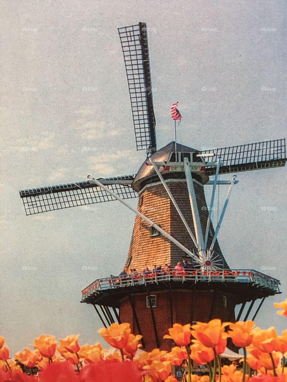Beautiful windmill 