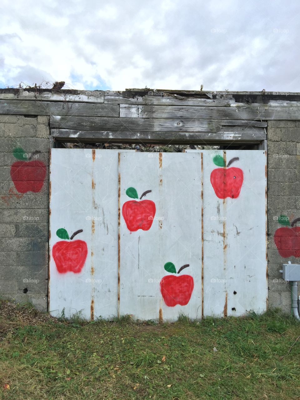 Folk Art Apple Painting. Giant apples adorn a shed door at an outdoor fruit stand in New York State, near Brewster.