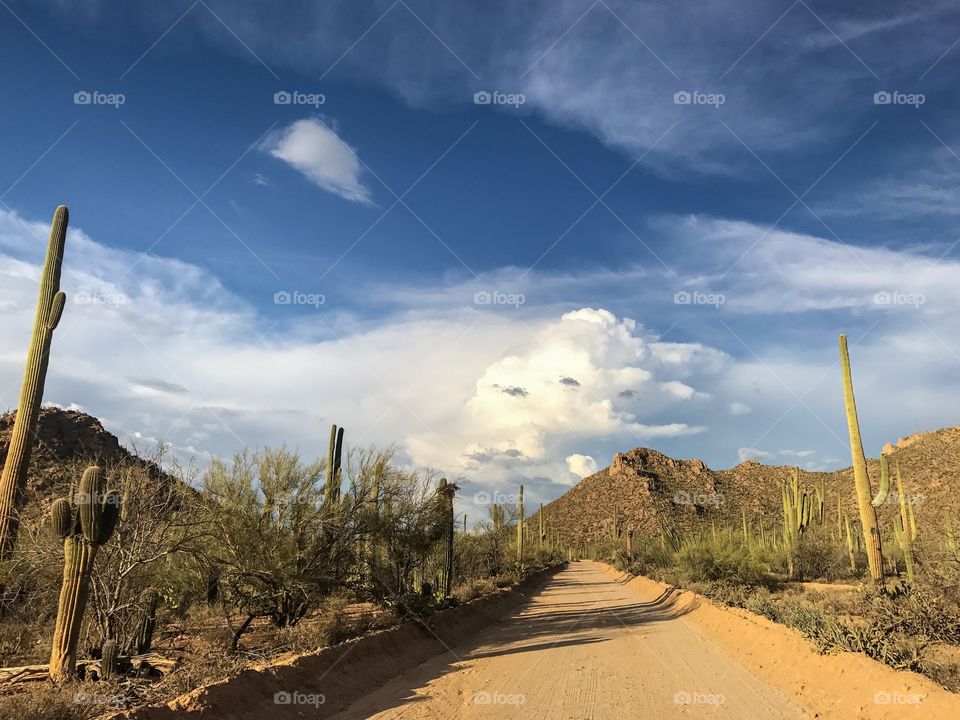 Travel - Explore Arizona 