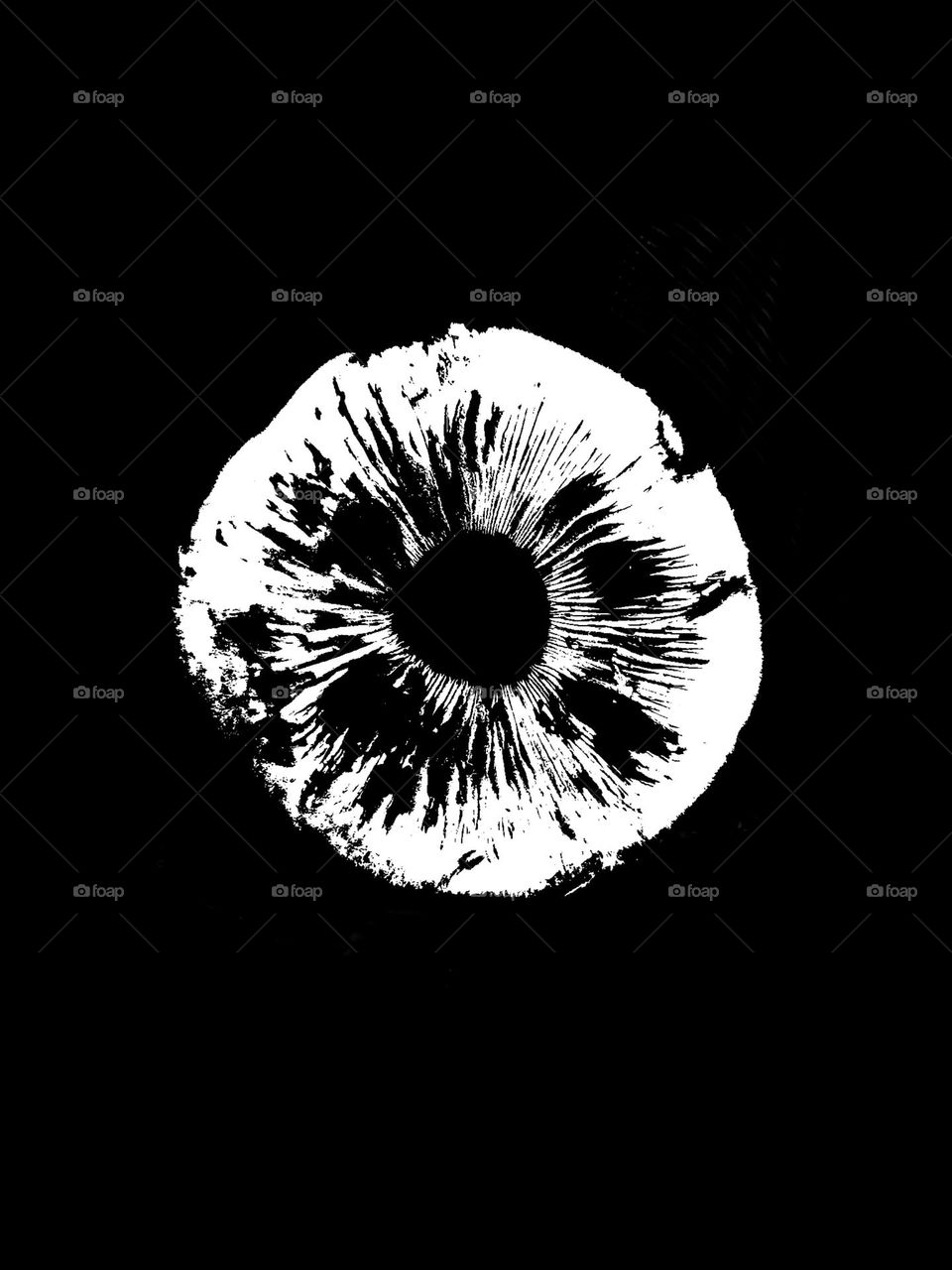 Wild mushroom Agaricus species black white spore print. Mushroom print, logo, picture for printing