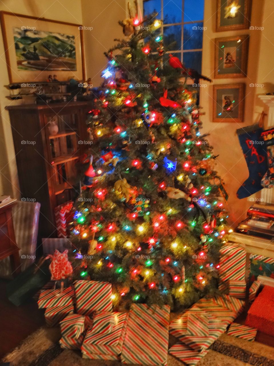 Family Christmas Tree