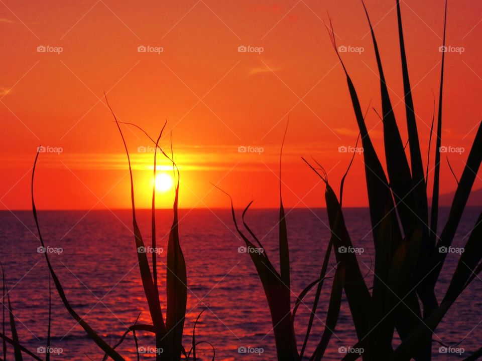 Sunset over Bamboo at Palinuro (Italy)