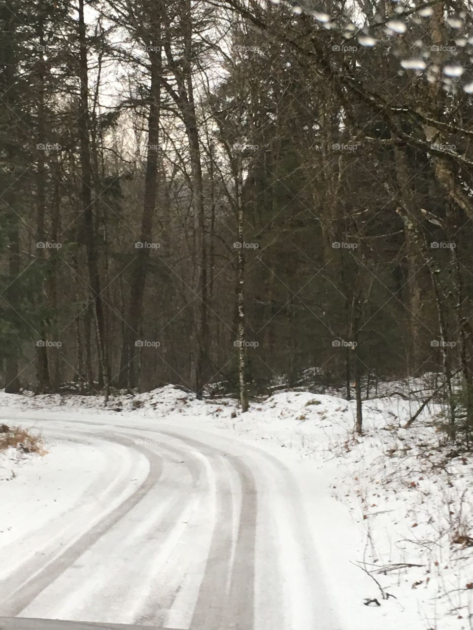 Snow, Winter, Wood, Tree, Landscape