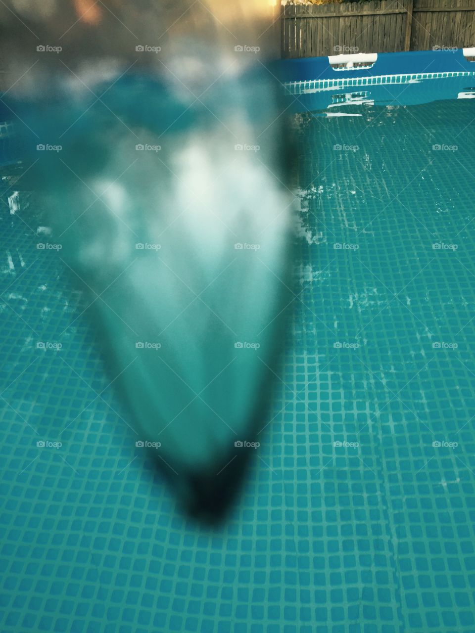 A dragon wing I found in my pool that I am holding.