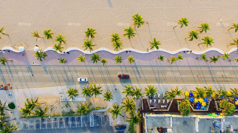 Palms beach