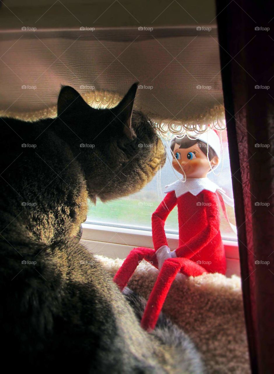 elf is making sure the cat is naughty or nice