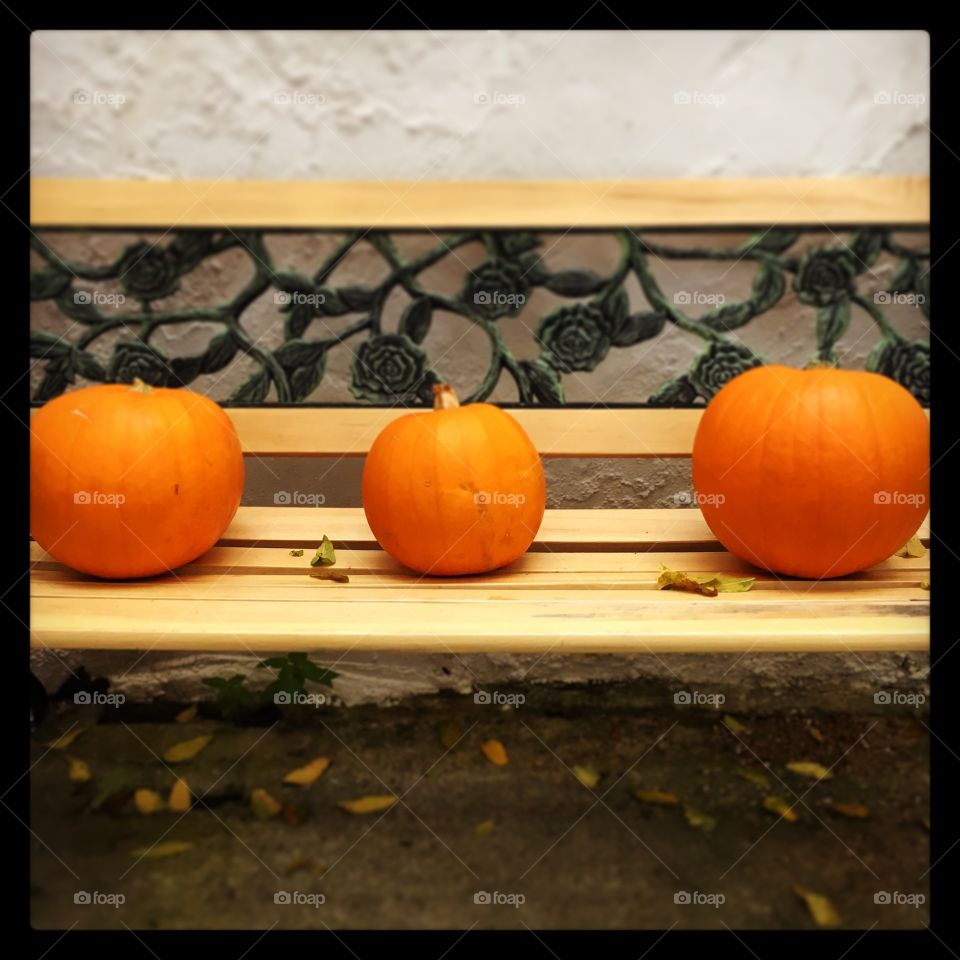 3 pumpkins on bench ready for Halloween carving 