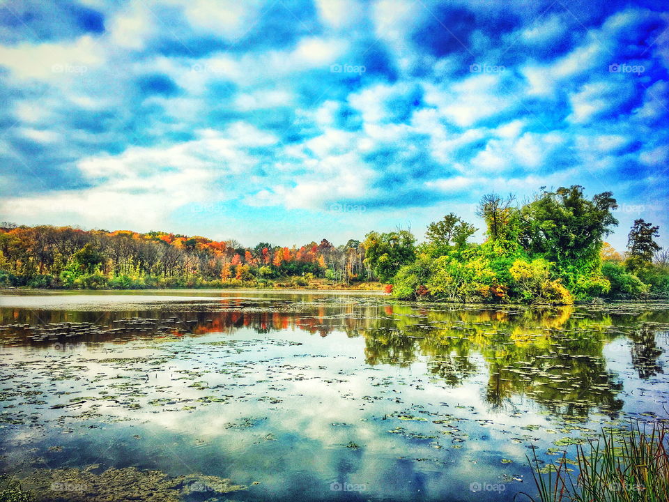 Scenic view of lake with forest