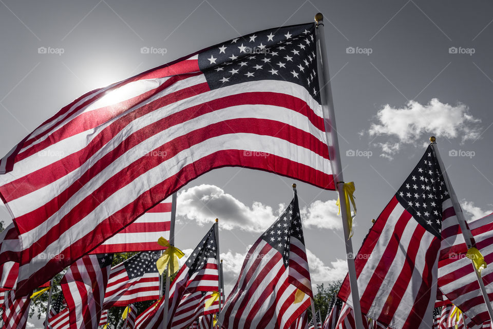 Field of Honor