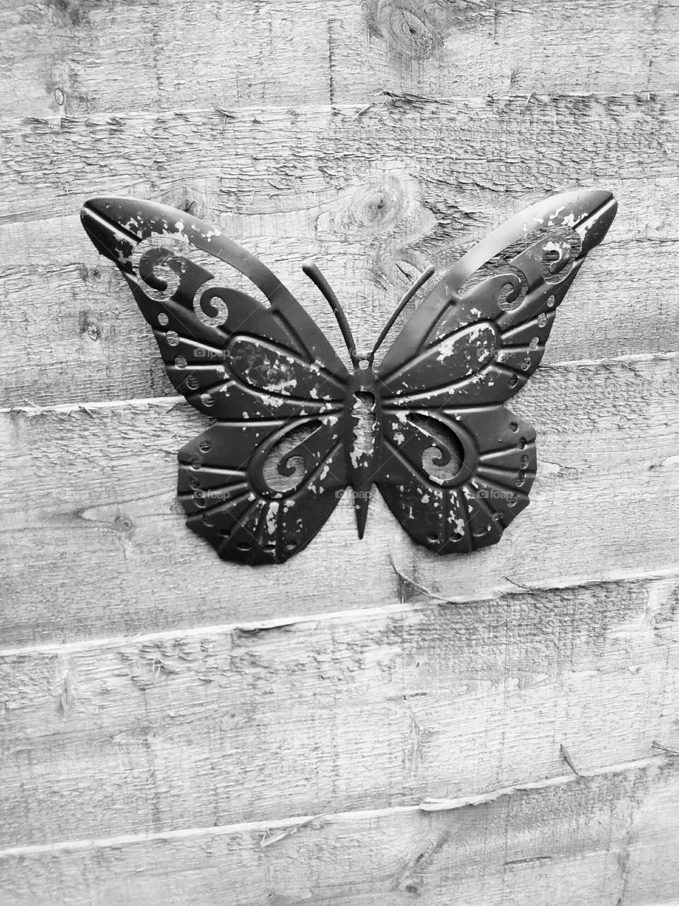butterfly ornament