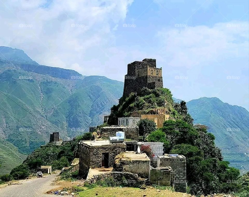 A very beautiful picture, and there is no better picture than it. There is no better picture of green herbs and colorful, red and white roses than it. Glory be to God, the natural and picturesque view, and there is no more