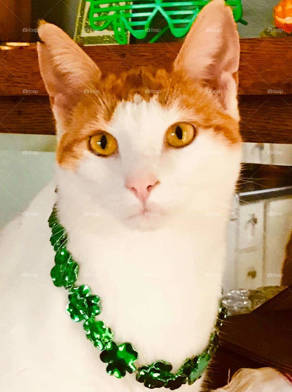 Beautiful yellow eyes