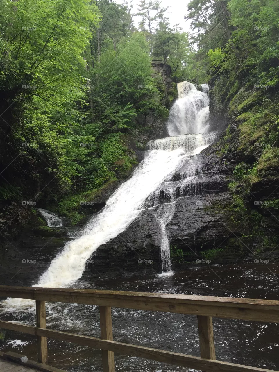Falls