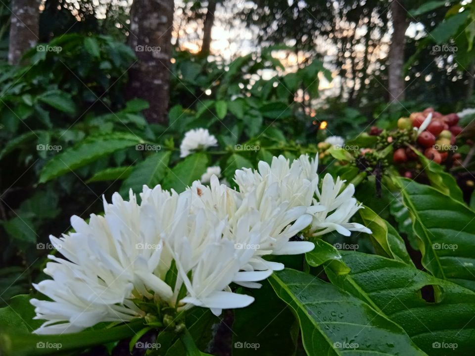 Welcome the morning with a smile!