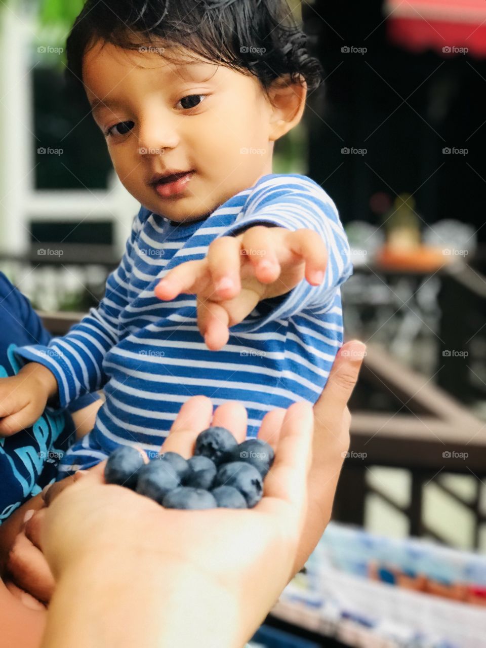 Blueberries 