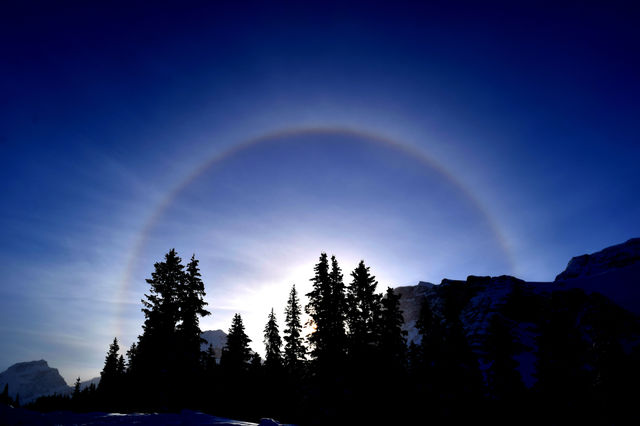 Snowbow Beauty
