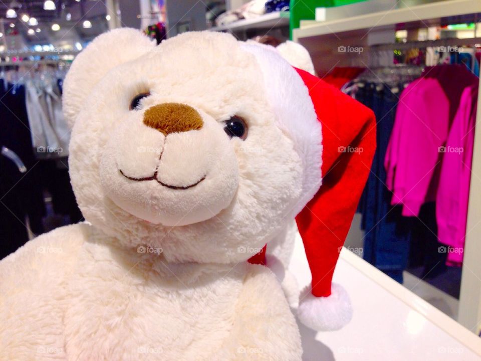 Christmas Teddy