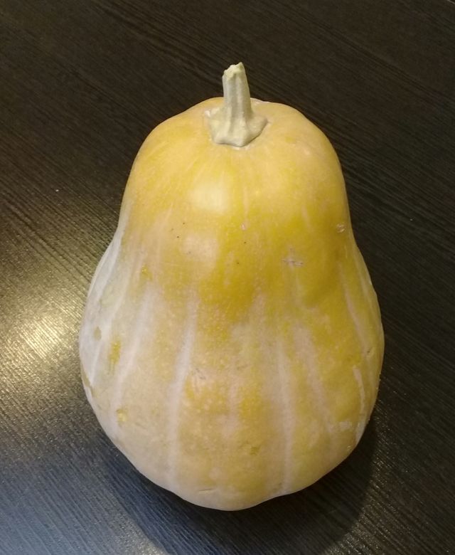 squash