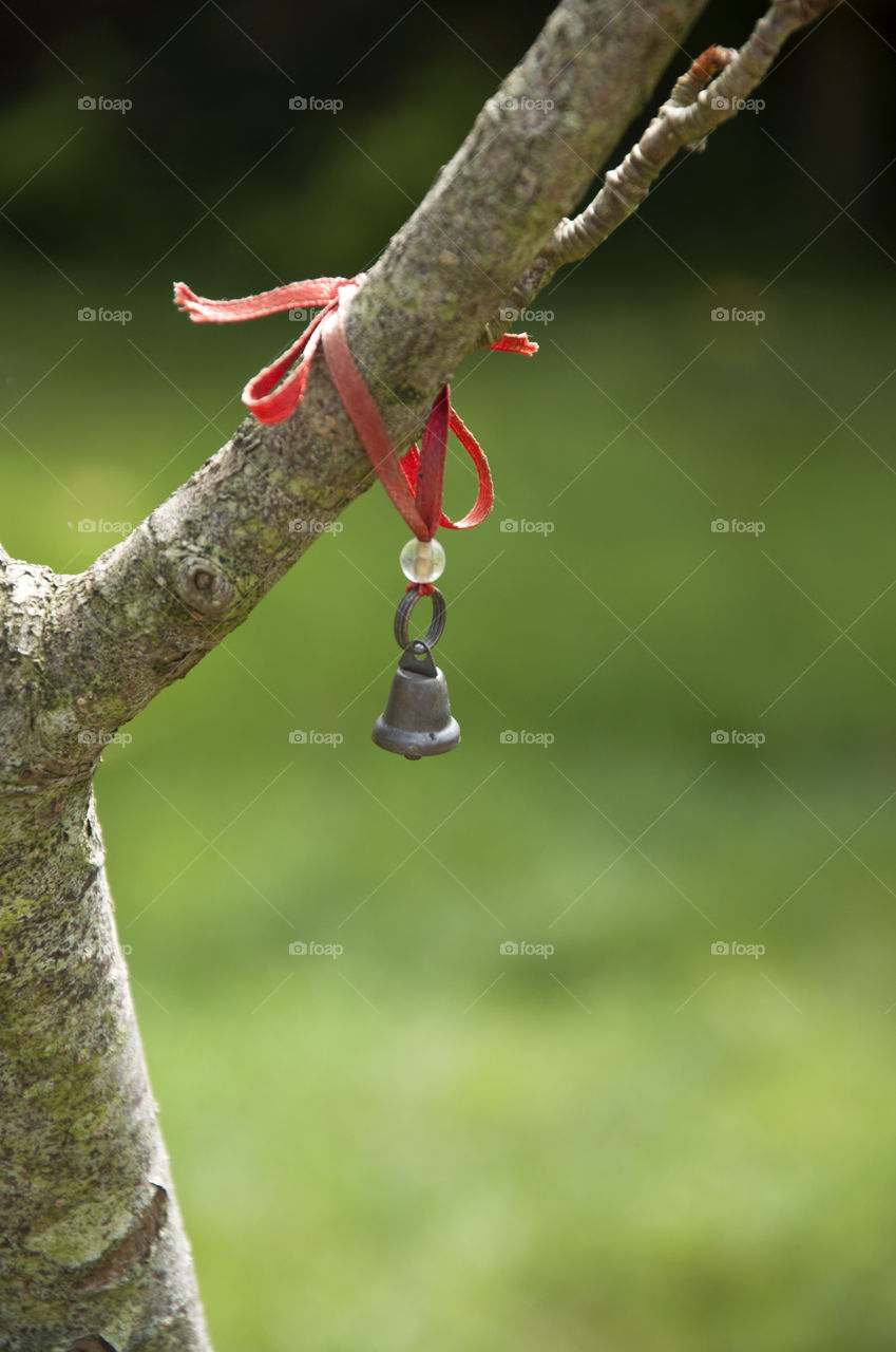 little bell on the tree in Glastonbury