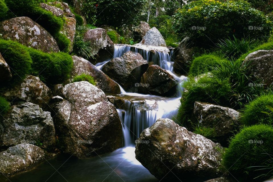 Waterfall, Water, Stream, Moss, Nature