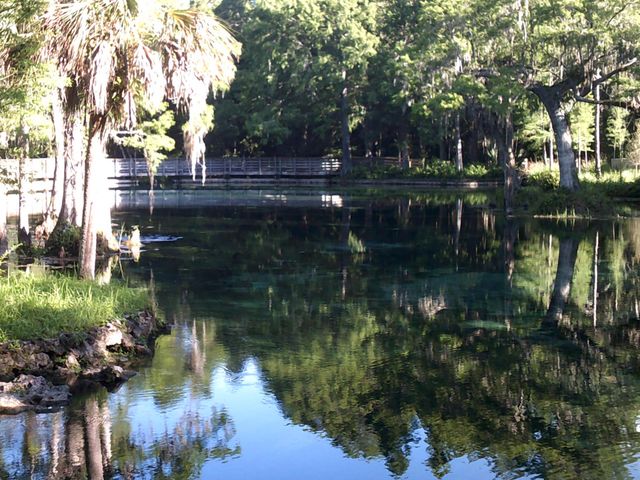 Crystal Springs 