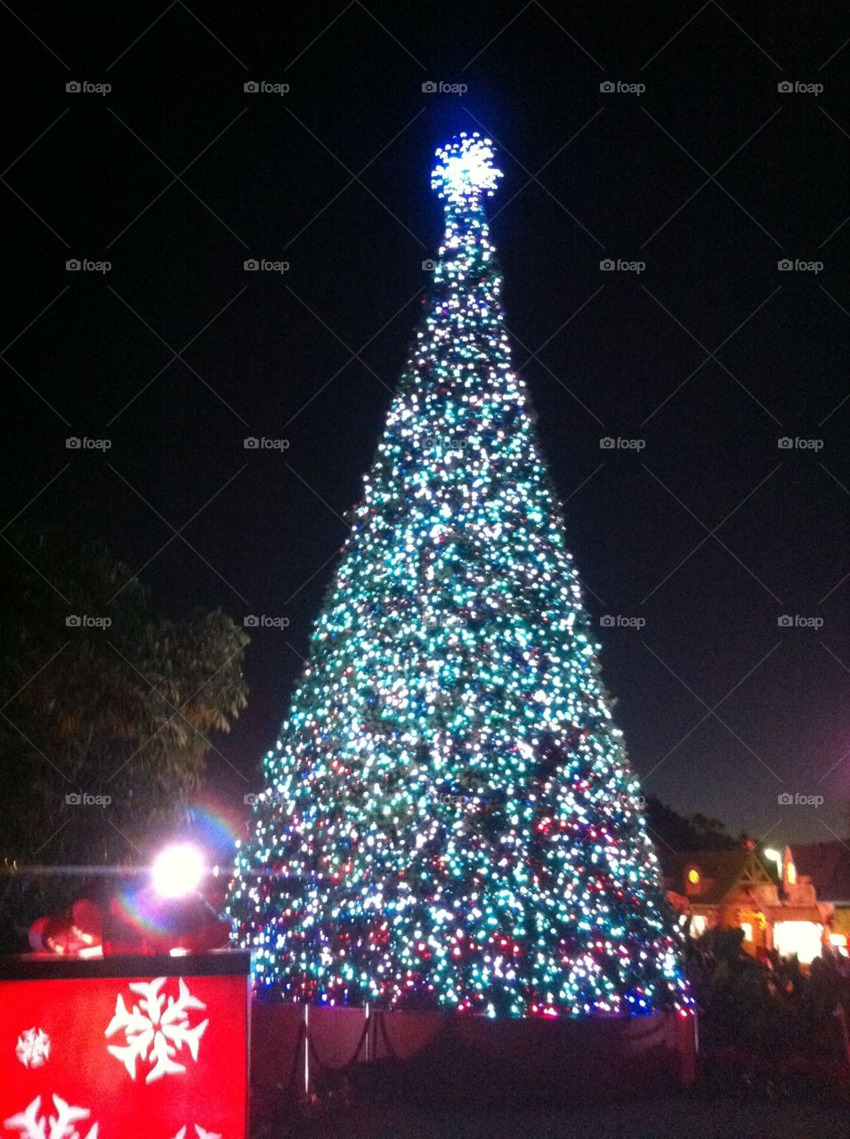 A million Lights on Xmas Tree