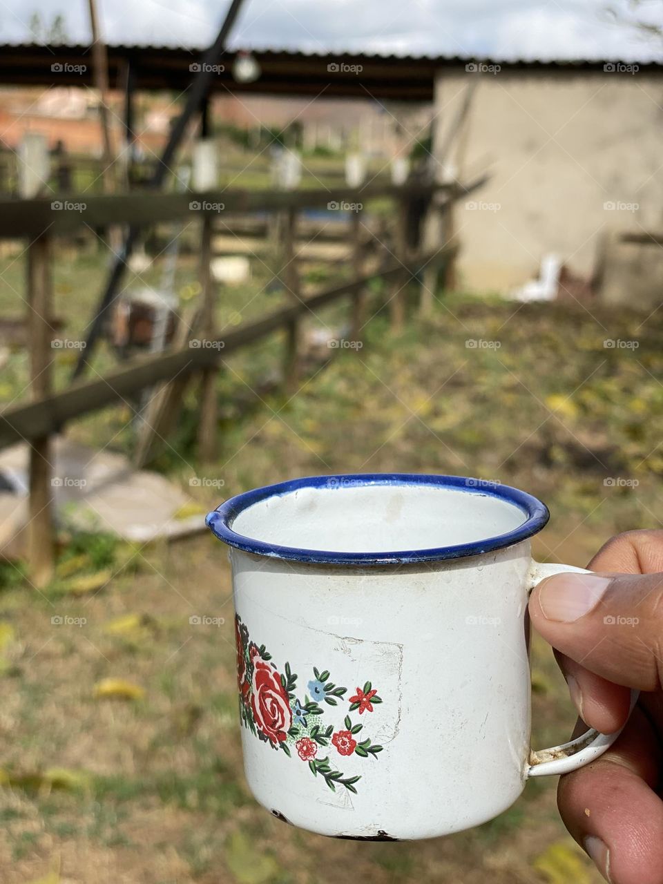 Coffee in farm 