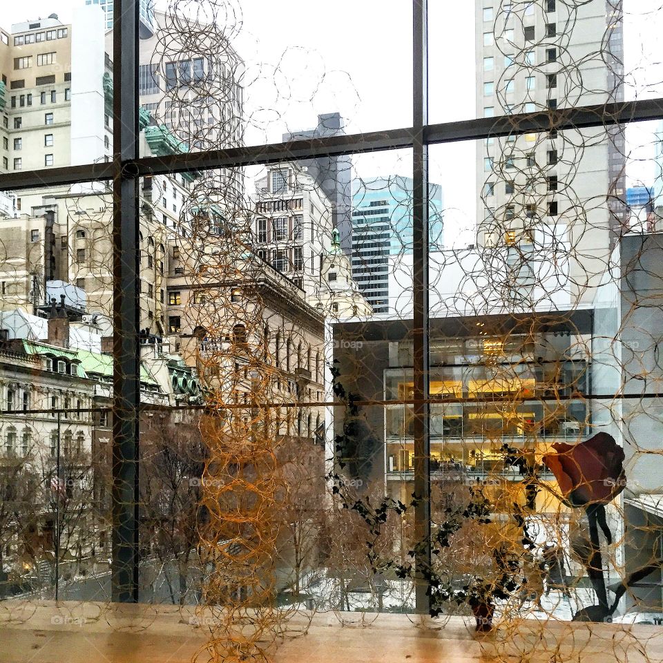 From inside the MOMA