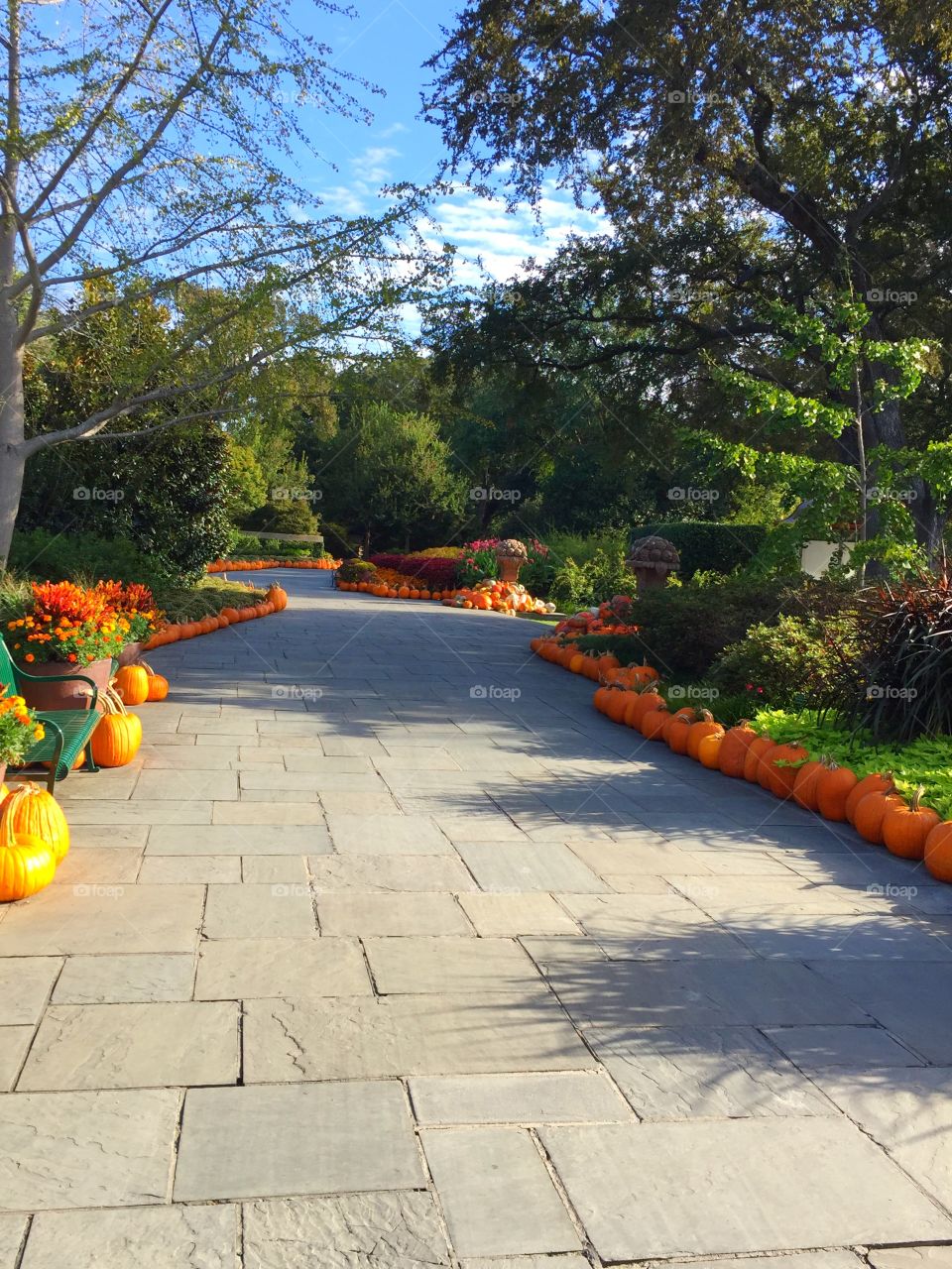 Pumpkin path